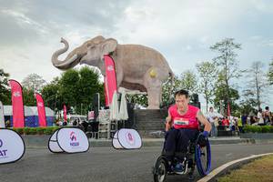 BIB: 
                            <button type="button" onclick="openModal(26528673)" class="btn btn-primary btn-sm float-right btn-popup" data-toggle="modal" data-target=".modal-high-quality">
                        <i class="fas fa-shopping-cart"></i> Add to Cart
                    </button>
                                            <button type="button" onclick="isThisMe(26528673, true)" class="btn btn-success btn-sm float-right btn-popup btn-isme hidden" data-toggle="tooltip" data-placement="bottom" title="นี่คือรูปของคุณใช่ไหม คลิกที่นี่เพื่อเอาเข้าอัลบั้ม">
                        <i class="fas fa-plus"></i> Add to album
                    </button>
                    <button type="button" onclick="isThisMe(26528673, false)" class="btn btn-warning btn-sm float-right btn-popup btn-isnotme hidden">
                        <i class="fas fa-ban"></i> Remove from album
                    </button>